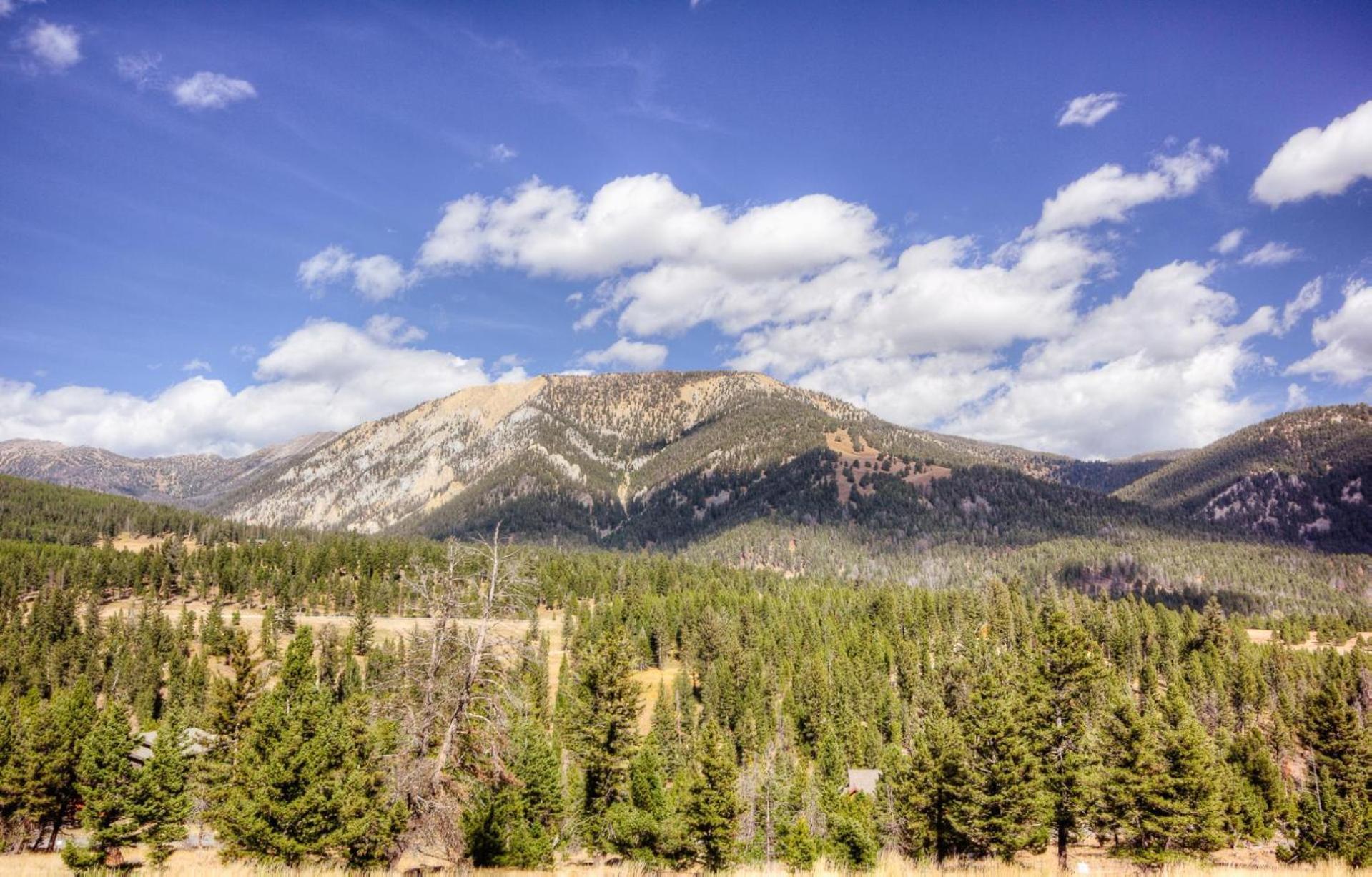 Antler Ridge Lodge บิกสกาย ห้อง รูปภาพ
